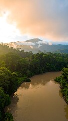 Misty rainforest river sunrise view