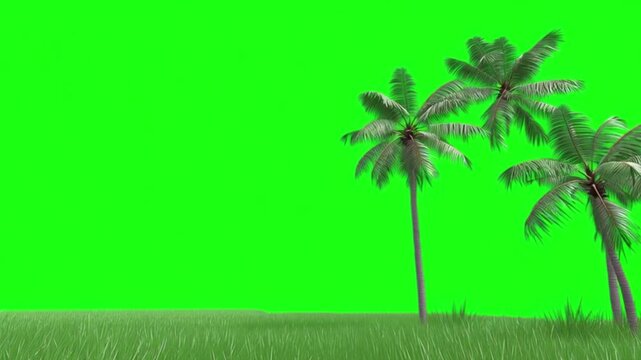 Palm trees isolated on green screen background, tropical coconut trees landscape cutout, summer nature scenery with grass field, chroma key template for video compositing, travel vacation environment 