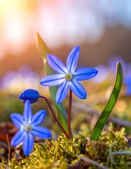 Close-up of vibrant blue spring flowers (2)