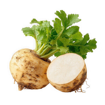 Whole and halved celery root isolated on transparent background
