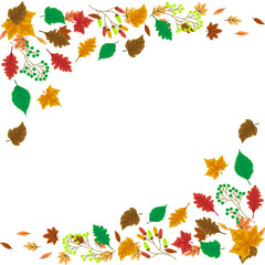 Autumn leaves frame isolated on transparent background with colorful foliage design