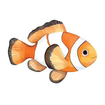 Vibrant Watercolor Clownfish in Profile View (1)