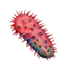 Vivid Spiny Sea Creature Watercolor Illustration