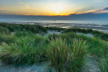 North Sea beach with reed grass bushes at sunset, orange-red sky over the dark blue ocean, panorama with sandy beach and blowing grass in the wind, sunset over a wall of clouds, fisher boat on tour
