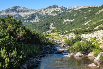 Pirin Mountain near Banderitsa Area, Bulgaria