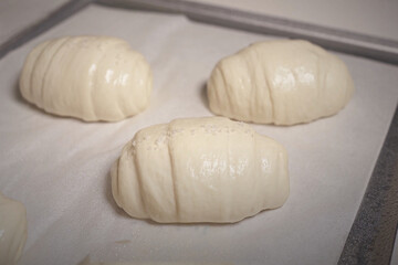 Unbaked shio pan dough rolls sprinkled with salt resting on a baking tray lined with parchment paper