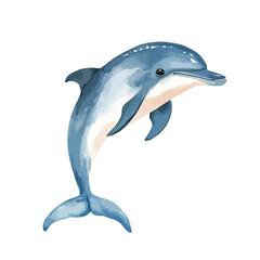 Fototapeta premium Watercolor Dolphin Leaping Gracefully Aquatic Elegance