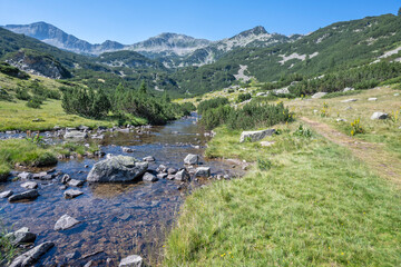 Pirin Mountain near Banderitsa Area, Bulgaria