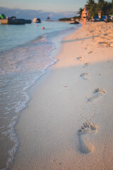 Footprints in the sand along a tranquil beach during sunset, with gentle waves lapping at the shore in a peaceful coastal setting