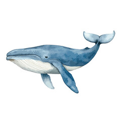 Watercolor Illustration of a Majestic Blue Whale Swimming Gracefully