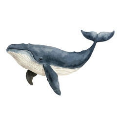 Watercolor Illustration of a Majestic Humpback Whale Swimming Gracefully