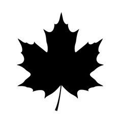 Iconic black maple leaf symbol centered within white square frame silhouette