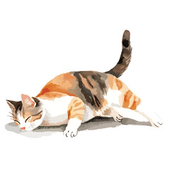 Watercolor Illustration of a Relaxing Calico Cat (1)