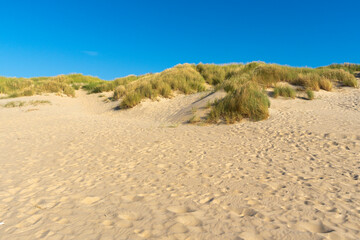 Sandy beach with dunes covered with grass, reeds swaying in the wind, footprints in the sand, bathing beach on the North Sea, relaxation under a blue sky