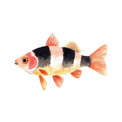 Watercolor Illustration of a Striking ThreeBanded Fish