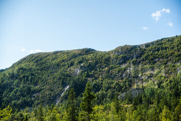 Scenic Mountain Slope: Green Forest and Blue Sky Landscape