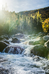 Flowing river creates a serene landscape with rocks and trees during a sunny autumn afternoon in the wilderness