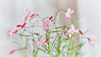 Delicate pink flowers with slender green stems arranged elegantly in a light atmosphere, creating a serene and refreshing ambiance