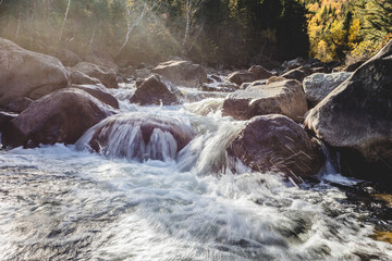 Mountain stream cascades over rocks in a serene forest landscape during autumn daylight