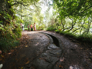 Balcoes Levada Hiking Trail