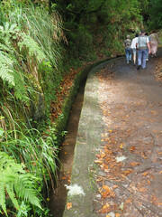 Balcoes Levada Hiking Trail