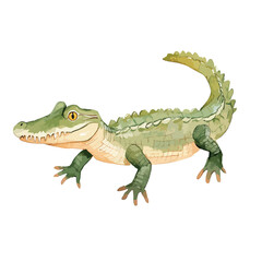 Fototapeta premium Watercolor Style Alligator with Golden Eyes and Textured Green Skin