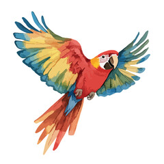 Fototapeta premium Watercolor Style Macaw Parrot with Open Wings in Flight