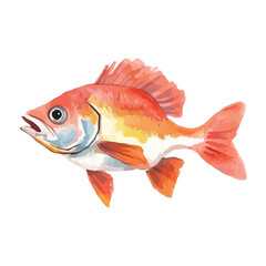 Watercolor Style Orange Fish with Defined Fins and Scales