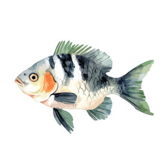 WatercolorStyle Fish with Striking Dorsal Fin and Orange Cheek Patch