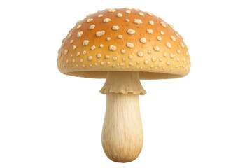 Obraz premium Royal fly agaric mushroom with transparent background