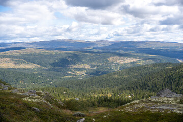 Vast Norwegian Forest Valley with Distant Mountains