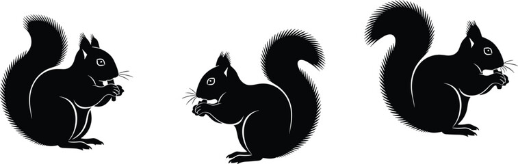 Squirrel, silhouette, black, white, vector, illustration, nut, eating, animal, bushy, tail, posture, profile, sketch, wildlife, nature, cute, design, nibbling, pose