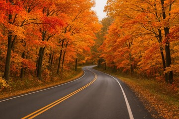 October Colors Along the Empty Road