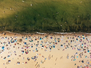 Aerial View of Beach with Sunbathing People