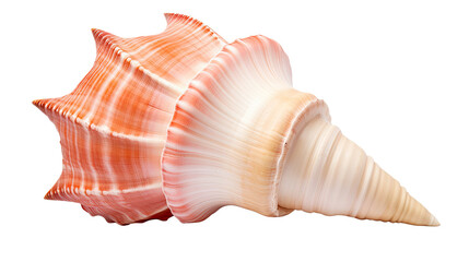 Obraz premium Conch Shell PNG Isolated on White Background for Ocean, Beach, and Nautical Design