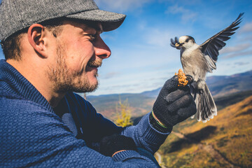 Man feeds a bird on a scenic mountain background during a sunny day in autumn