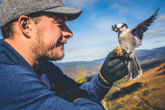 Man feeds a bird on a scenic mountain background during a sunny day in autumn
