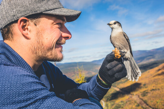 Man interacts with bird on a mountaintop during a sunny day in autumn, showcasing a unique connection with nature