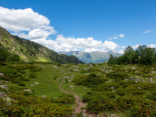 Fototapeta premium mountain trail