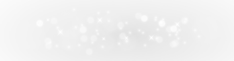 Festive Sparkle Dust