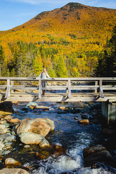Scenic autumn hike across a wooden bridge in a vibrant forest with a mountain backdrop during daytime