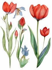 Spring watercolor clipart on the theme of flowers and herbs.