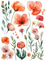 Spring watercolor clipart on the theme of flowers and herbs.