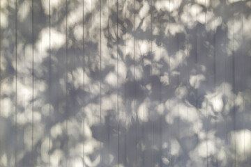 Background of soft shadows from leaves and branches, textured wall, abstract pattern.