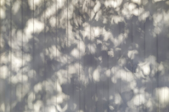 Background of soft shadows from leaves and branches, textured wall, abstract pattern.