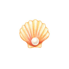 Fototapeta premium Watercolor seashell with pearl illustration on black background, cut out