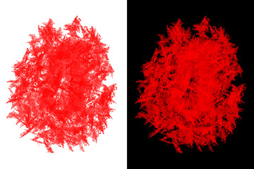 Two red abstract shapes against a black background with different textures and forms shown here