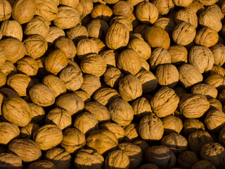 Pile of unshelled walnuts in natural sunlight close-up