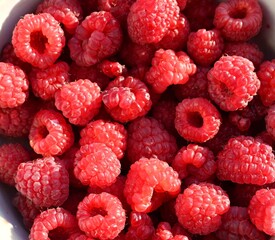 A vibrant, detailed close-up of freshly picked red raspberries filling the frame, highlighting the intricate texture of each berry.