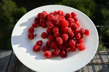 An overhead shot of a pile of bright, freshly picked red raspberries on a clean white plate. The image highlights their plump, detailed texture.